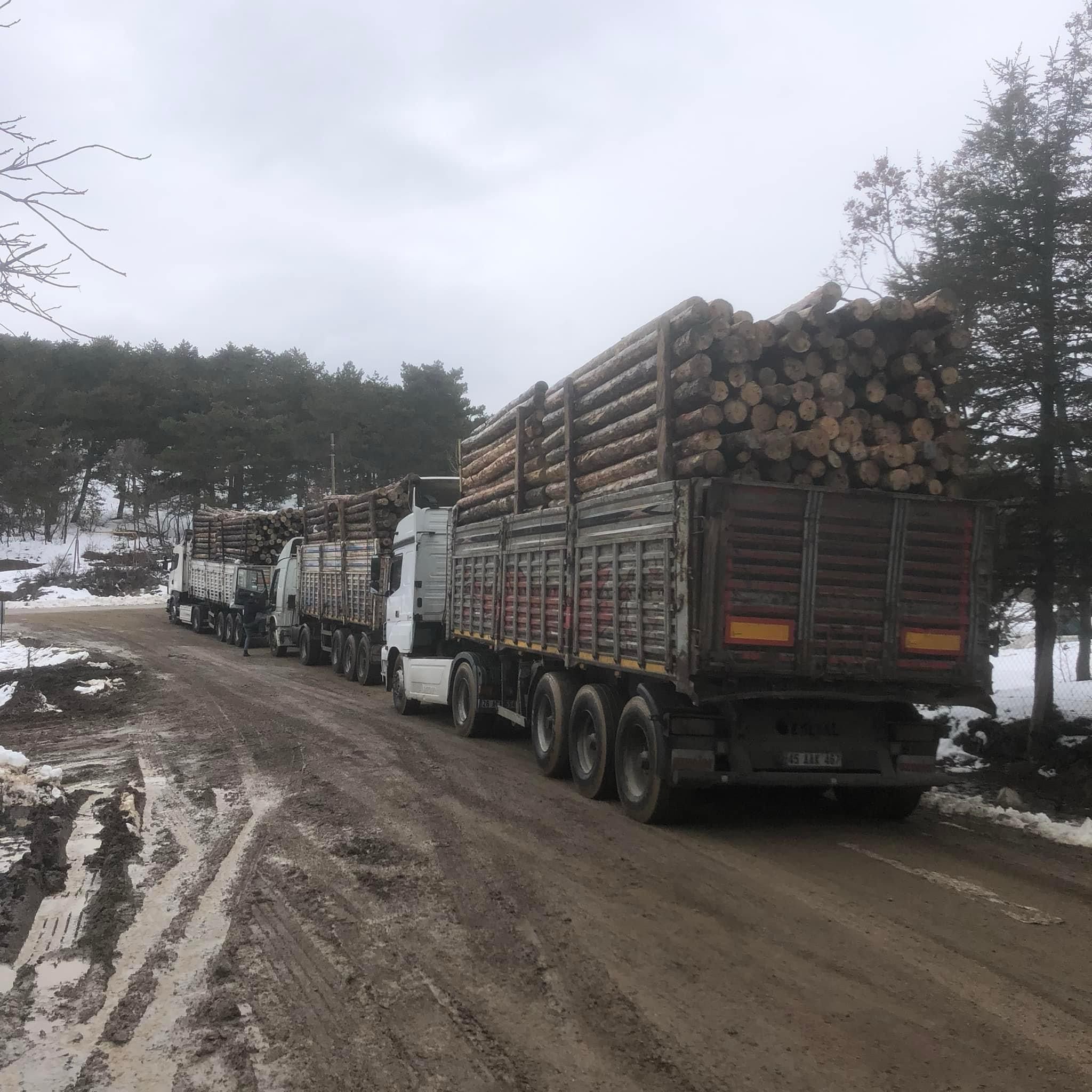 Şanver Orman Ürünleri ve Nakliye